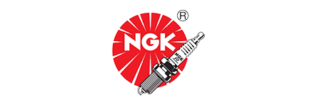 bujías nkg